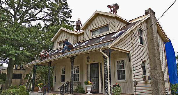 Best Shingle Roofing Installation  in Verona, MS